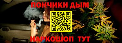 дурь Можга
