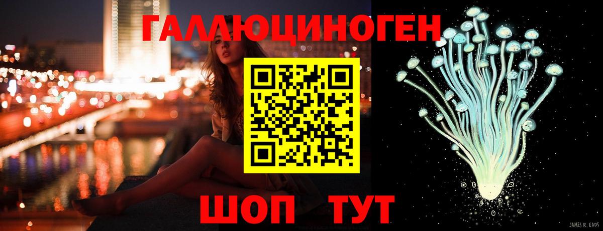 Старая Купавна  Галлюциногенные грибы Psilocybe  Вход с VPN 